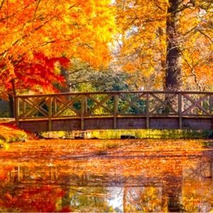 Fall Special..:Bundle